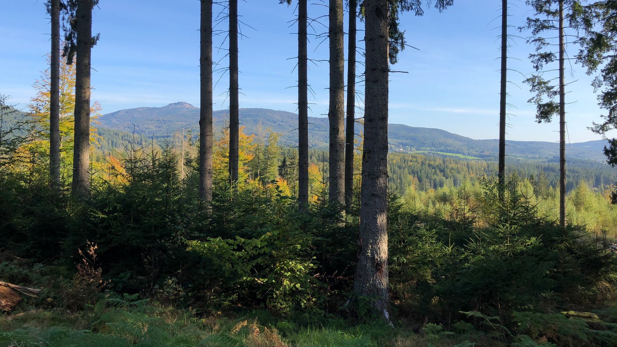 Blick zum Nationalpark