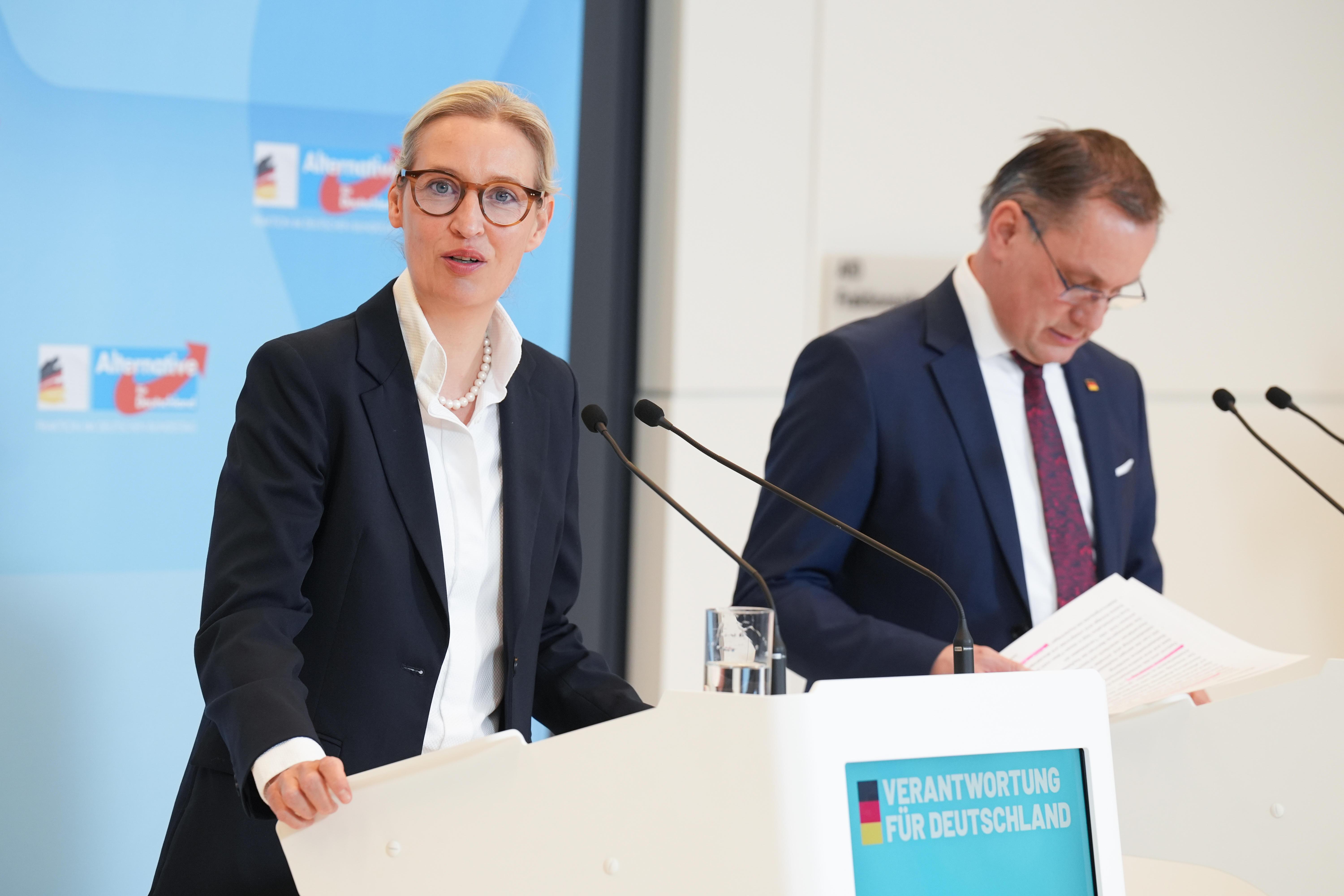 Alice Weidel und Tino Chrupalla. 