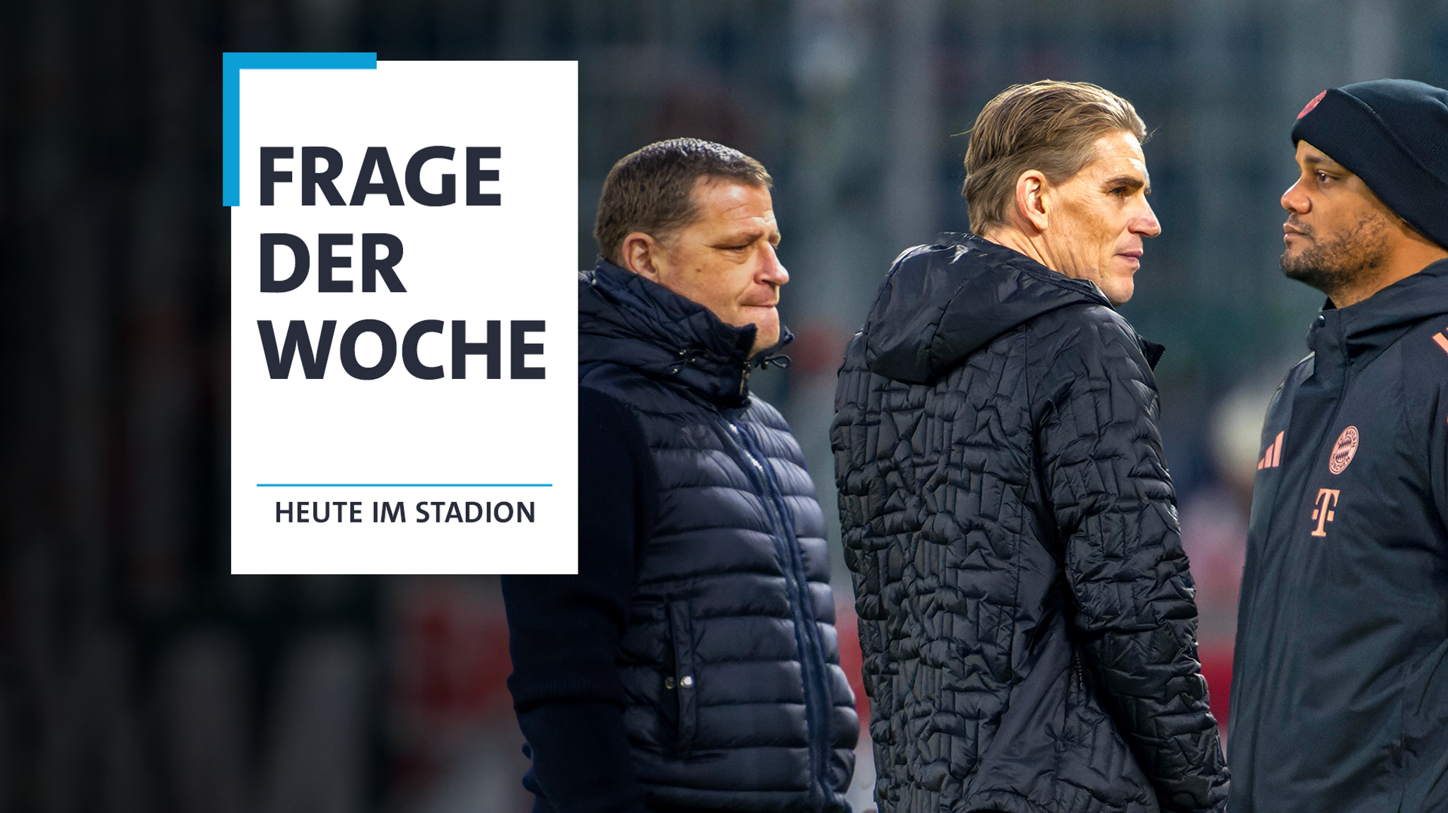 FC Bayerns Sportvorstand Max Eberl, Sportdirektor Christoph Freund und Trainer Vincent Kompany (v.l.n.r.) | Bild: picture-alliance/dpa FC Bayerns Sportvorstand Max Eberl, Sportdirektor Christoph Freund und Trainer Vincent Kompany (v.l.n.r.)