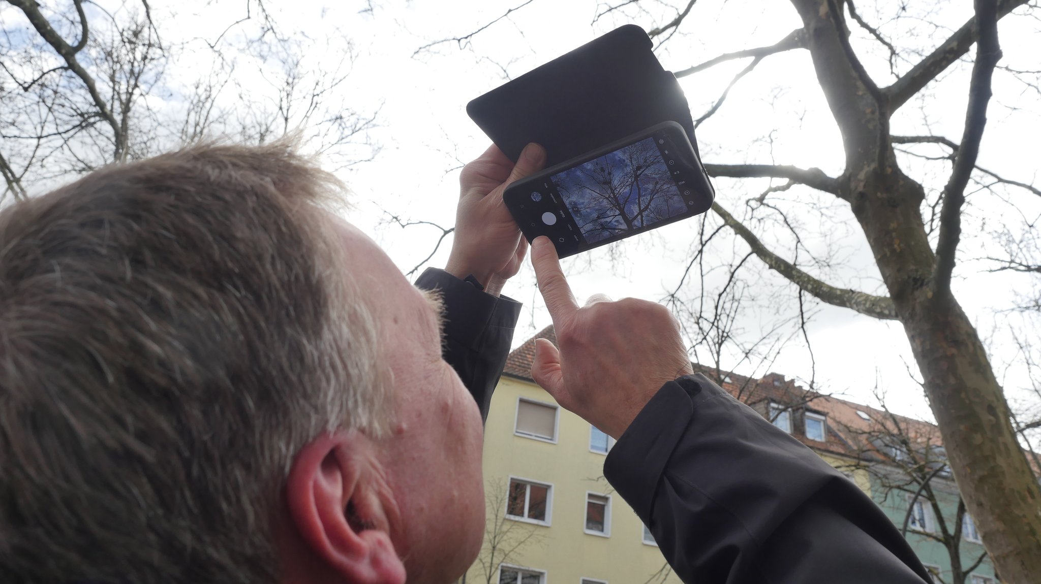 Ornithologe Dr. Stephan Kneitz beobachtet die Saatkrähen in der Würzburger Erthalstraße.