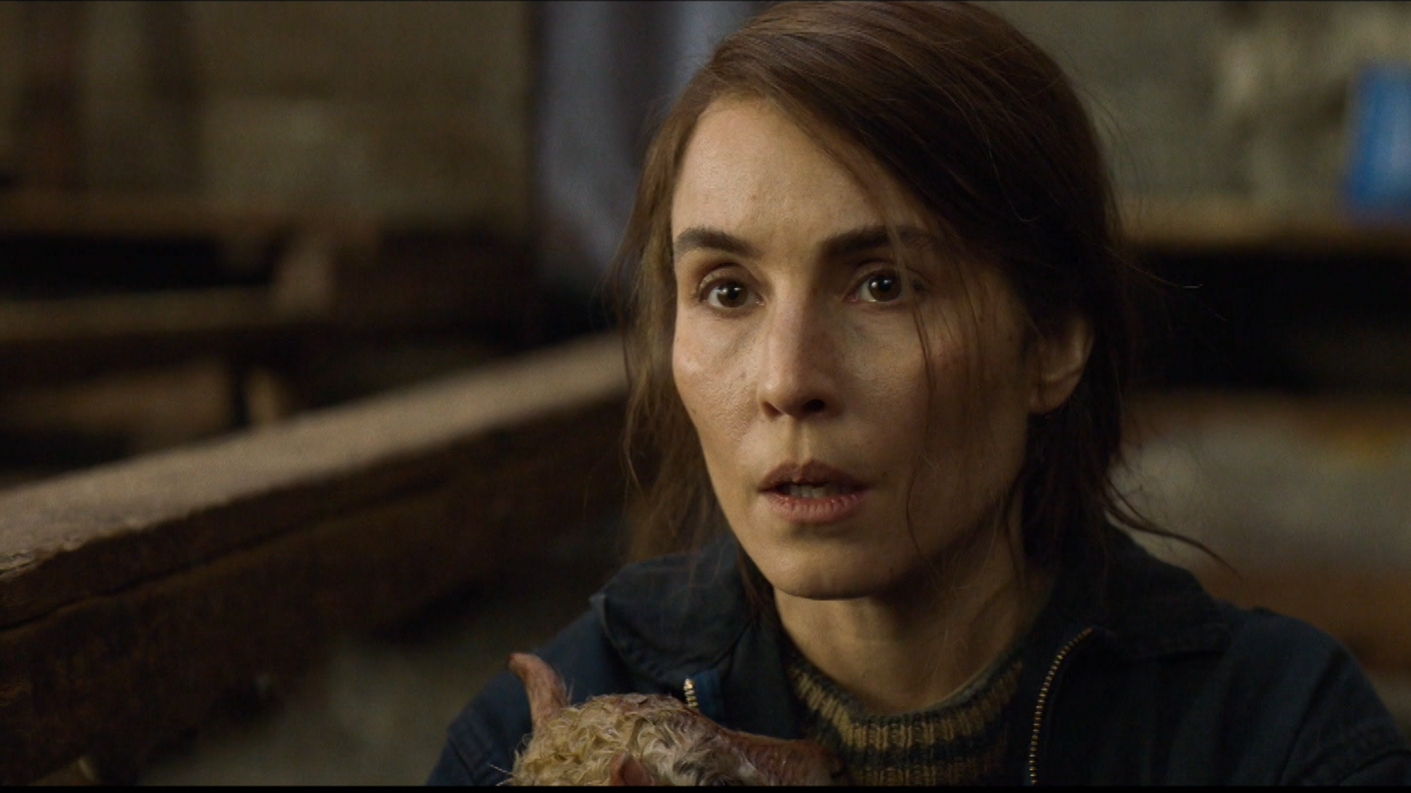 Etwas hat ihre Tiere nachts besucht: Noomi Rapace als Bäuerin in "Lamb" (Filmszene).