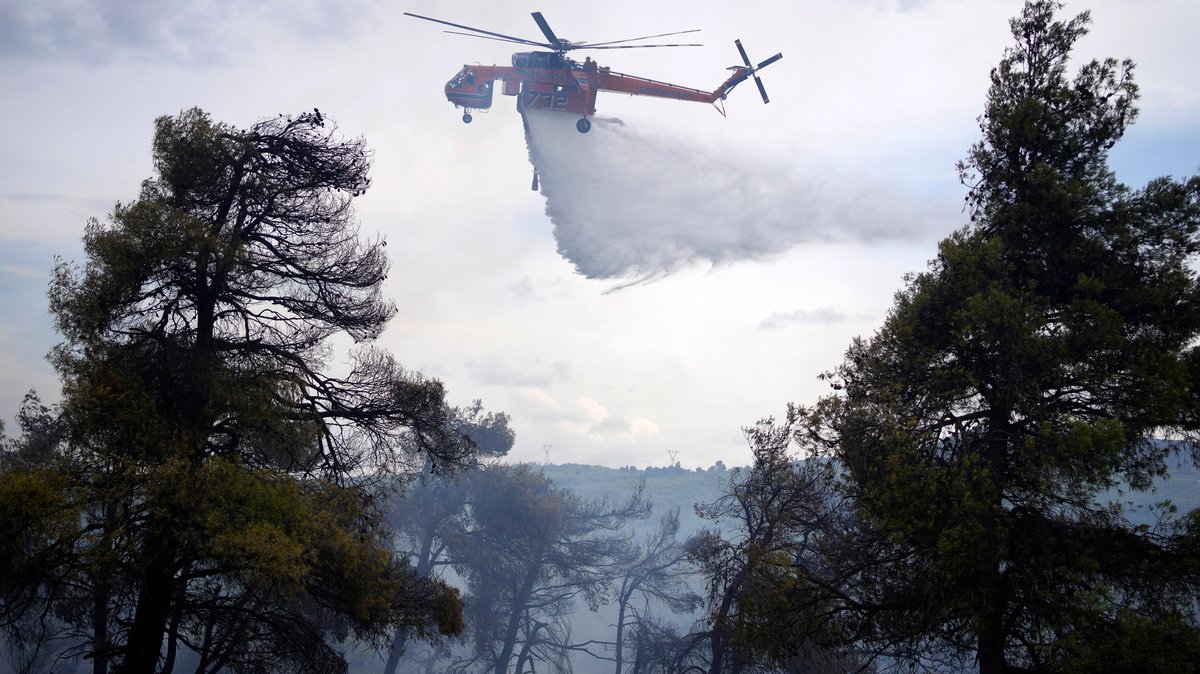 Waldbrand wütet nahe Athen - auch Naturschutzgebiet bedroht