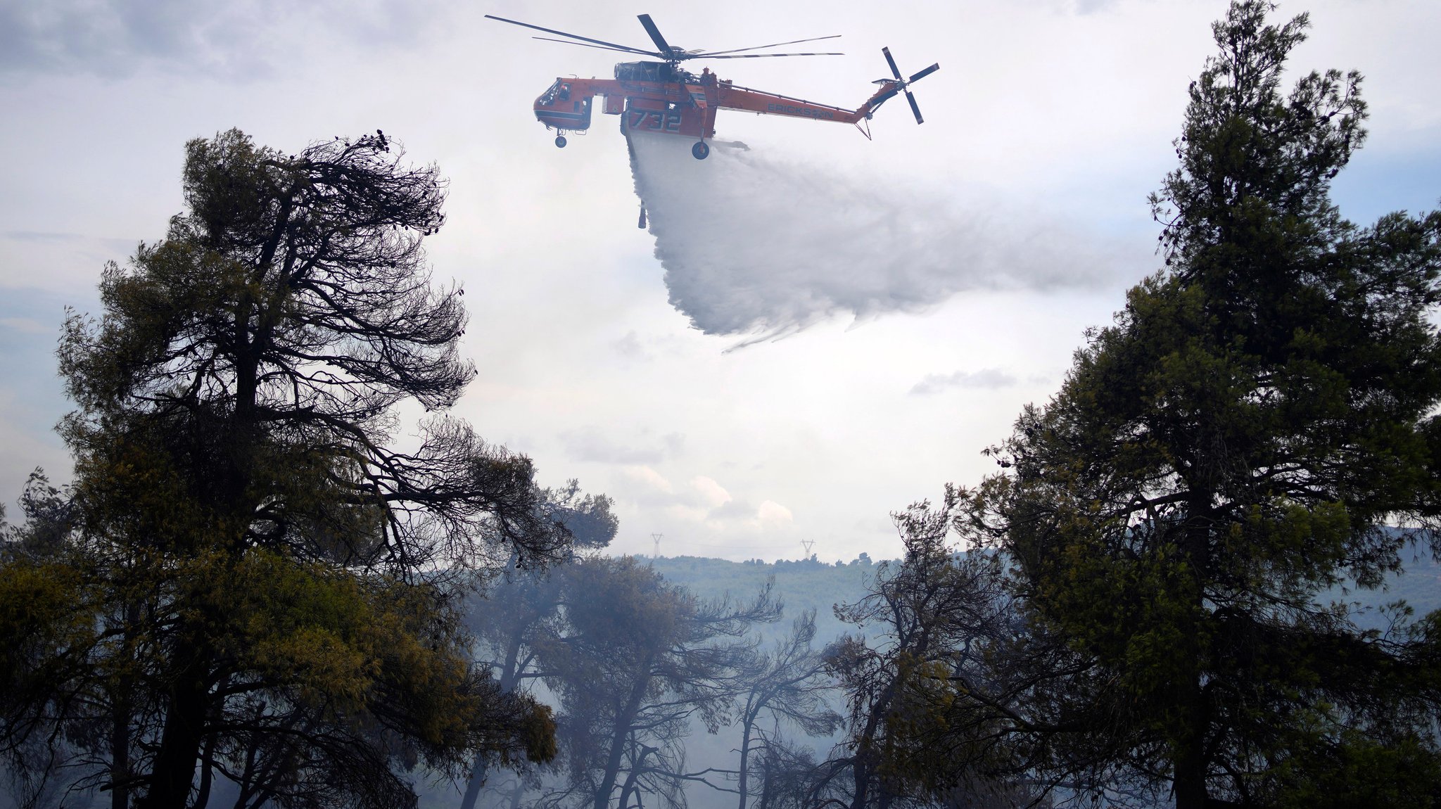 Ein Hubschrauber schüttet während eines Waldbrandes Wasser über ein Waldgebiet.