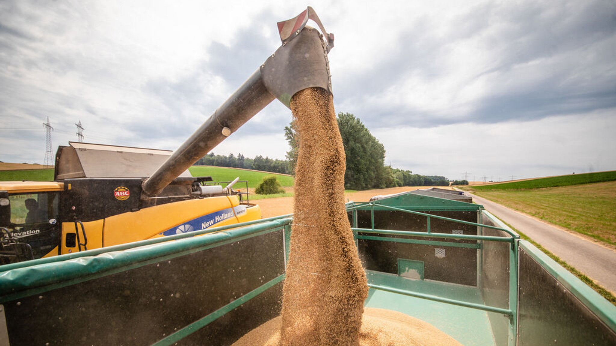 Landwirt verlädt mit seinem Mähdrescher die Körner seiner Wintergerste in einen Anhänger