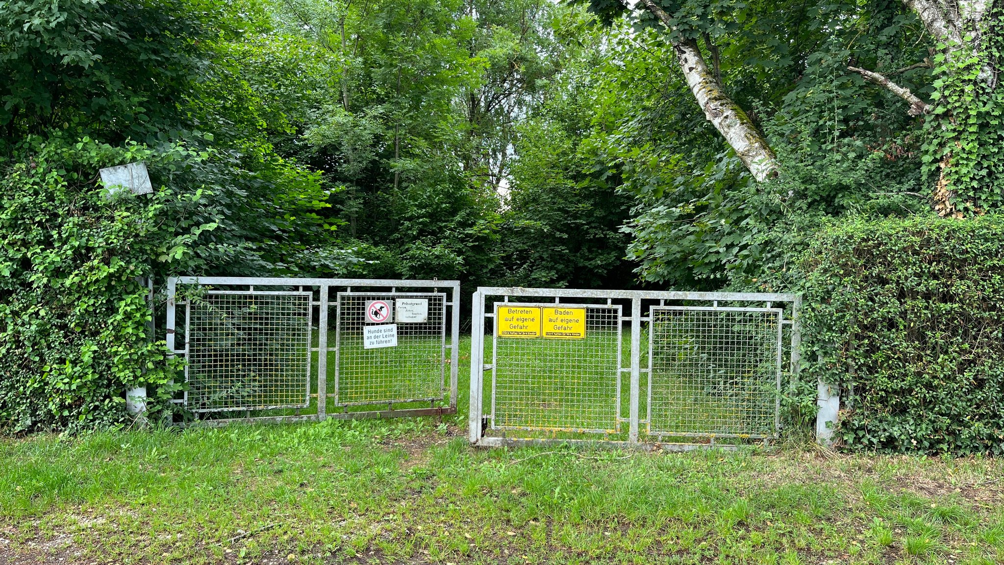 An einem Eisentor hängen Hinweisschilder, wie "Baden auf eigene Gefahr". Dahinter sind nur Bäume und Büsche zu sehen. Der Zeller See ist davon verdeckt.