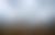 Dunkle Wolken ziehen im Jahr 2018 über ein Feld mit vertrockneten Maispflanzen bei Wolnzach