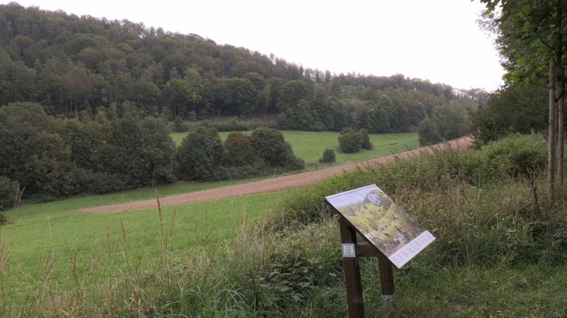 Eine Schautafel mit abgebildeten Tieren steht am Wegesrand, im Hintergrund ein bewaldetes Tal.