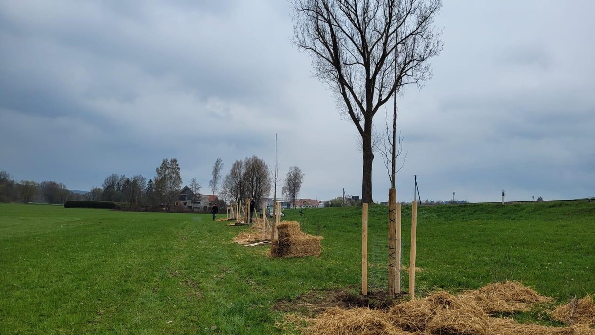 Welt verbessern: Wie mach' ich Säume in der Landschaft?