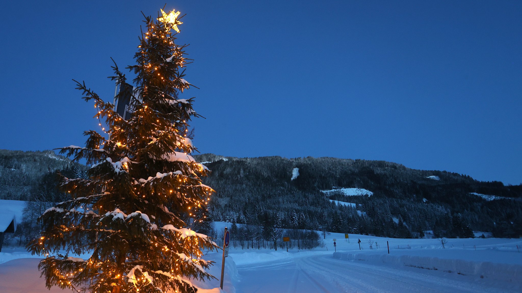 Ein geschmückter Weihnachtsbaum steht kurz vor Sonnenaufgang im Ortsteil Unterjoch in der schneebedeckten Landschaft.