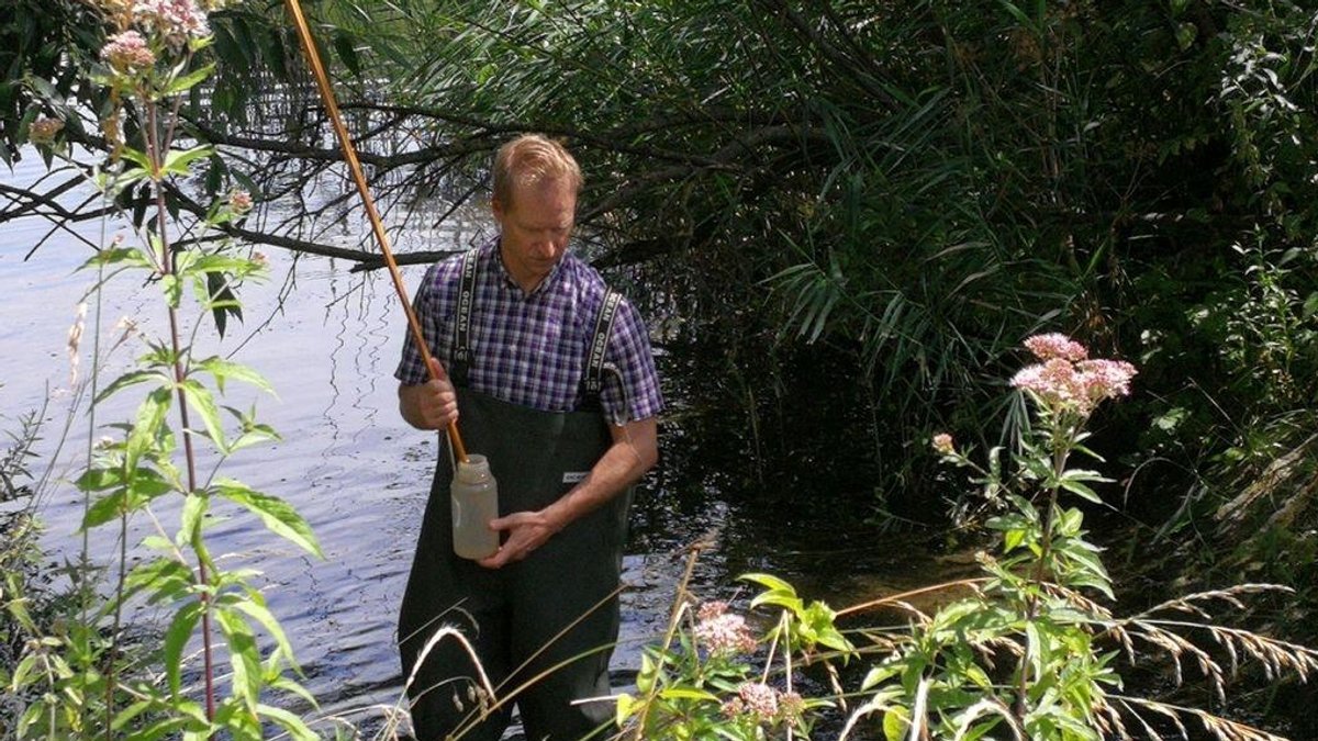 Michael Kolahsa, Fischereifachberater des Bezirks Unterfranken, entnimmt eine Wasserprobe aus dem Mühlbach im Landkreis Main-Spessart.