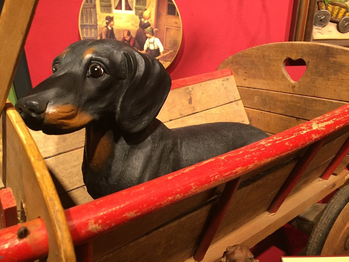 Im Passauer Dackelmuseum wird ein Kulthund zelebriert