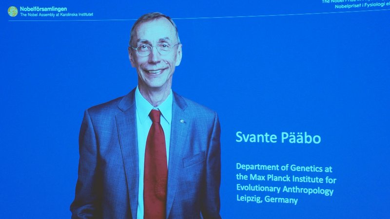Der Medizin-Nobelpreis geht nach Schweden - an den Evolutionsforscher Svante Pääbo. 