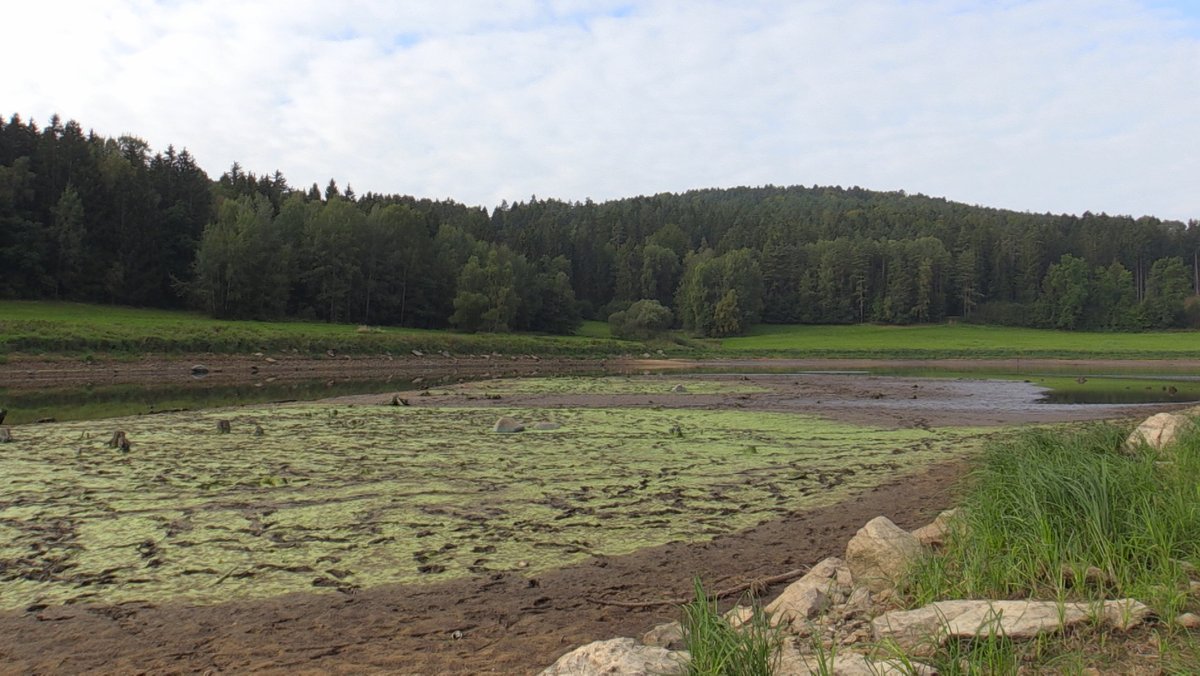 Das Wasser im Eixendorfer See wird wegen Bauarbeiten abgesenkt.