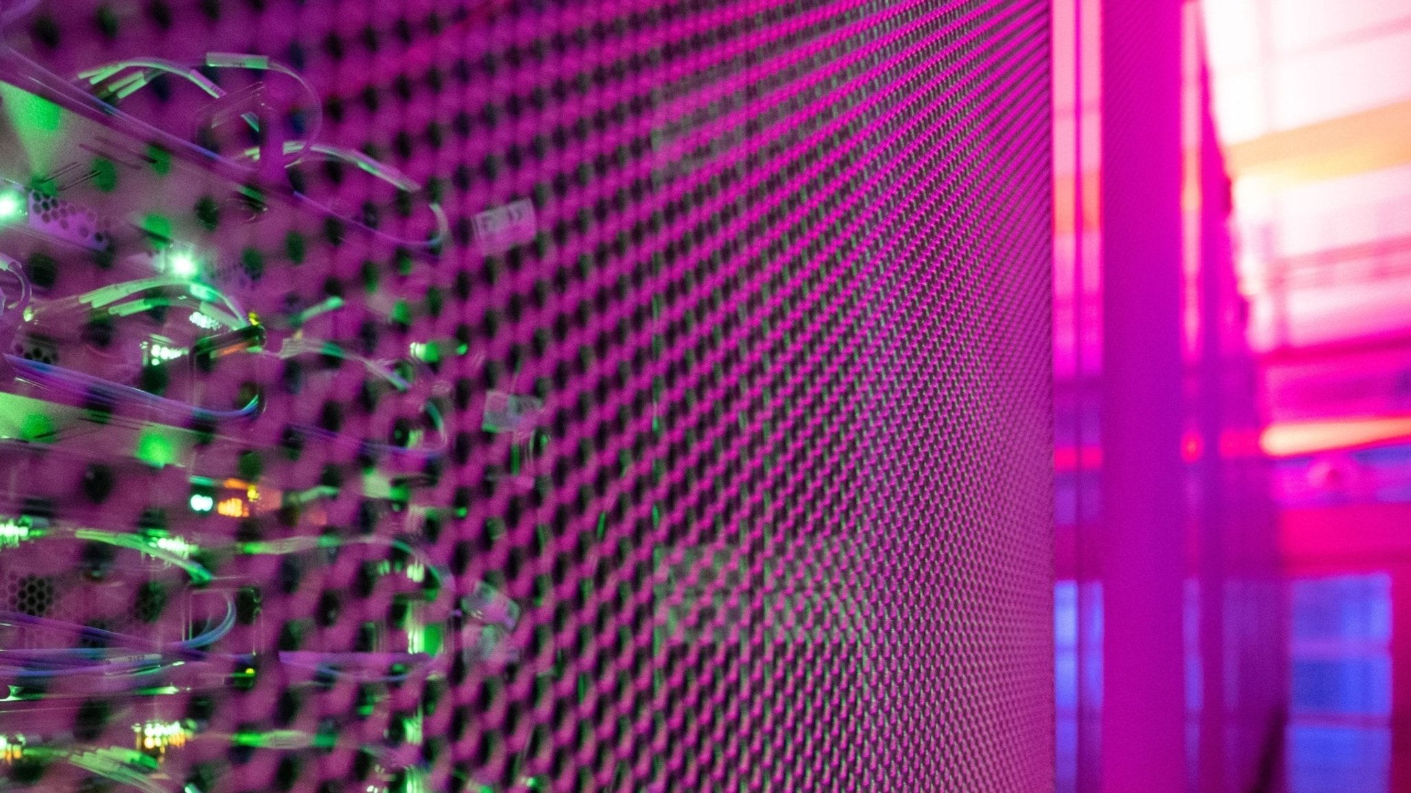 KI und der Arbeitsmarkt | Bild: dpa-Bildfunk/Sebastian Gollnow KI und der Arbeitsmarkt