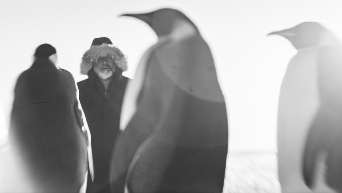 Luc Jaquet mit Kaiserpinguinen in "Rückkehr zum Land der Pinguine"-Filmszene