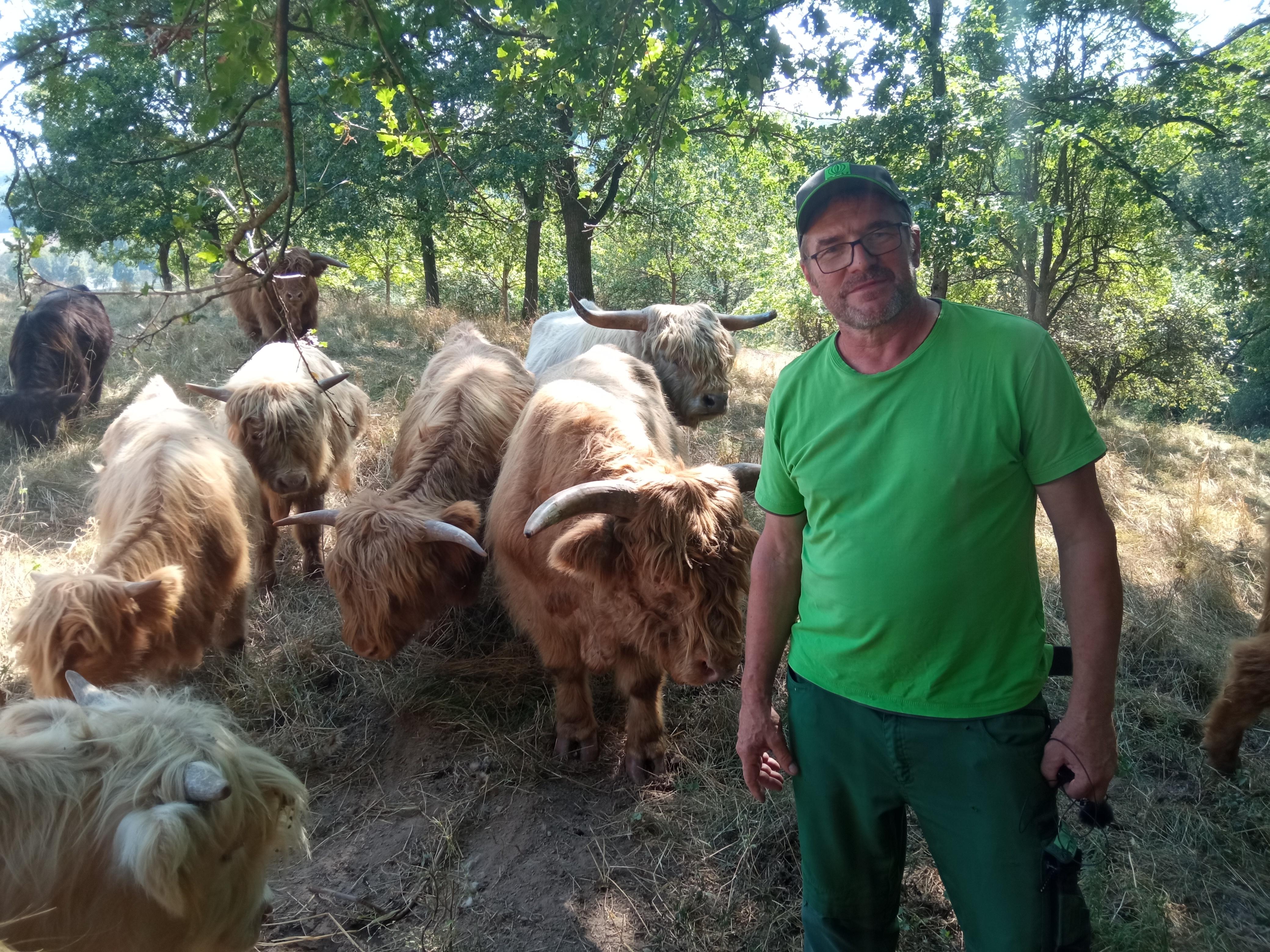 Landwirt Edgar Thomas bei seinen Schottischen Hochlandrindern auf einer Weide bei Nüdlingen im Landkreis Bad Kissingen.