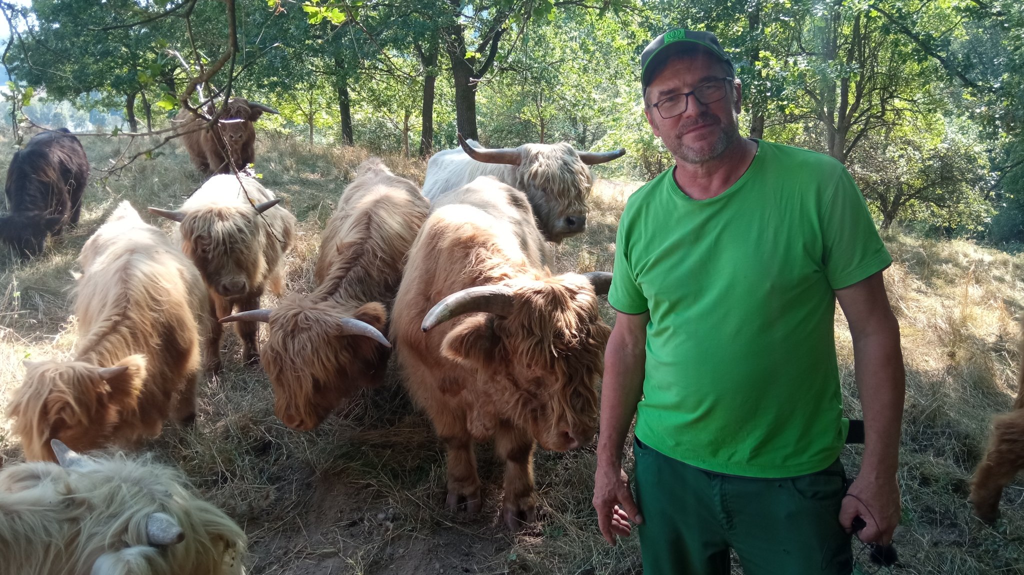 Landwirt Edgar Thomas bei seinen Schottischen Hochlandrindern auf einer Weide bei Nüdlingen im Landkreis Bad Kissingen.