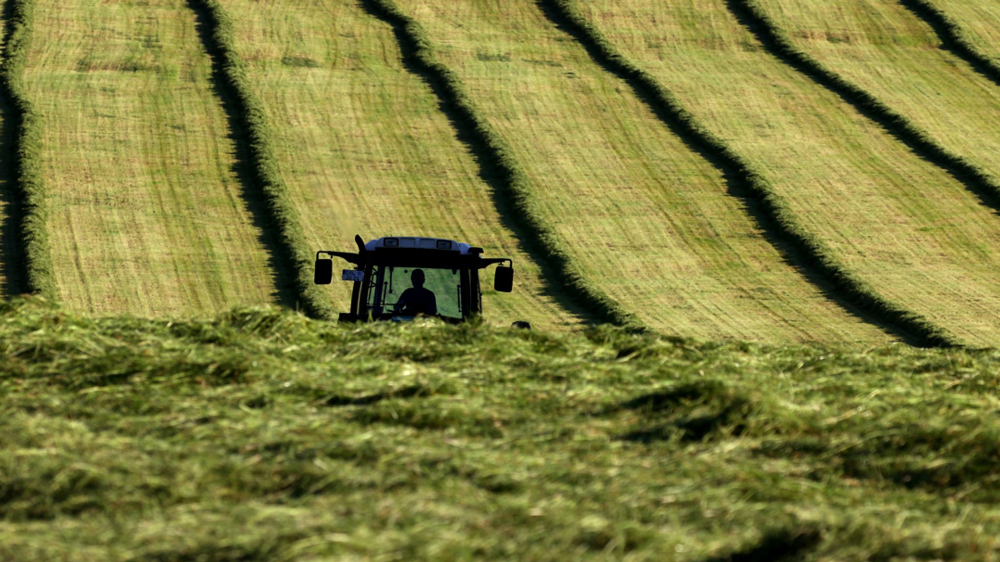 Ein Traktor fährt im Abendlicht über eine gemähte Wiese.