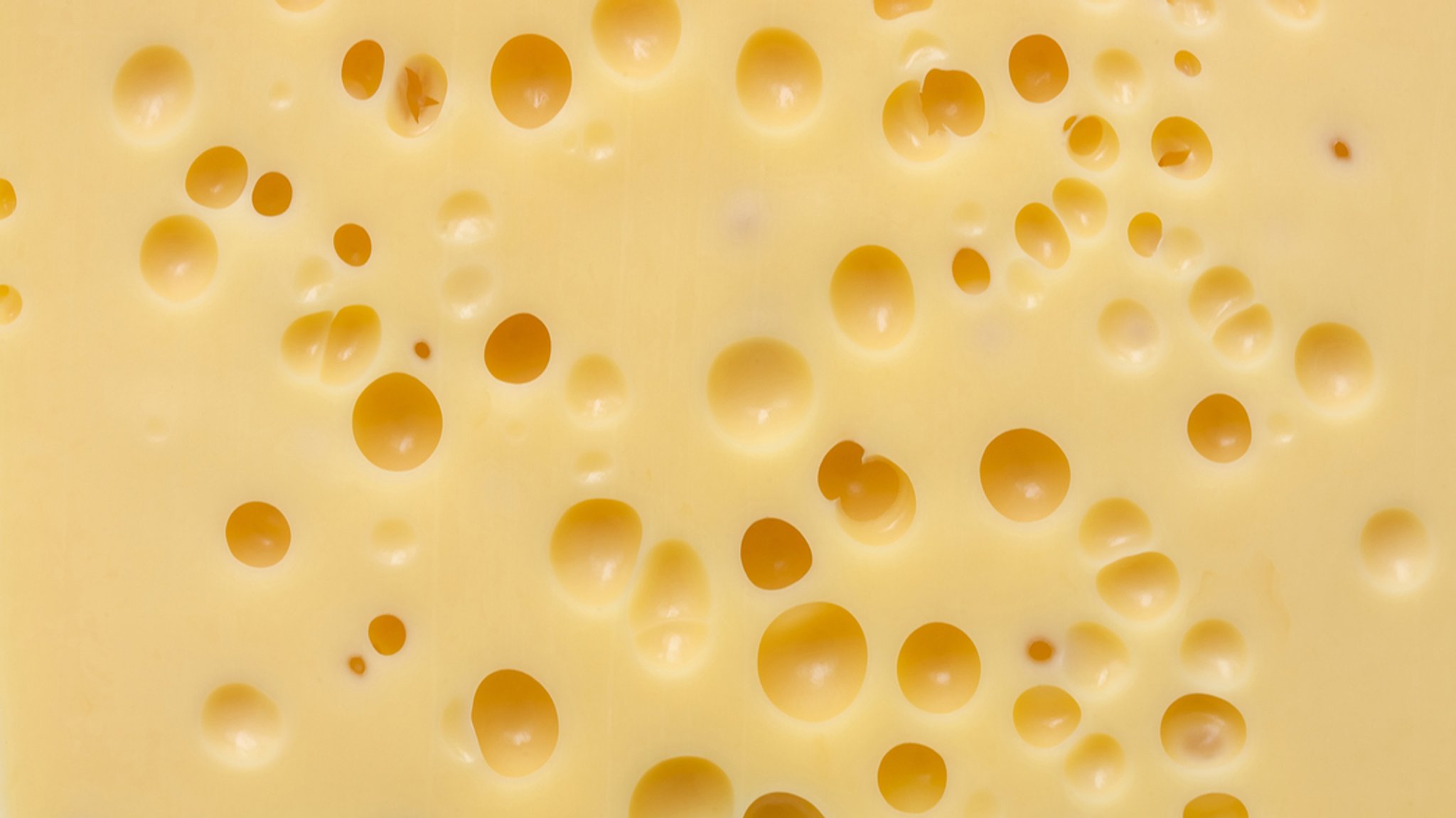 Nahaufnahme eines löchrigen Käses (Symbolbild).