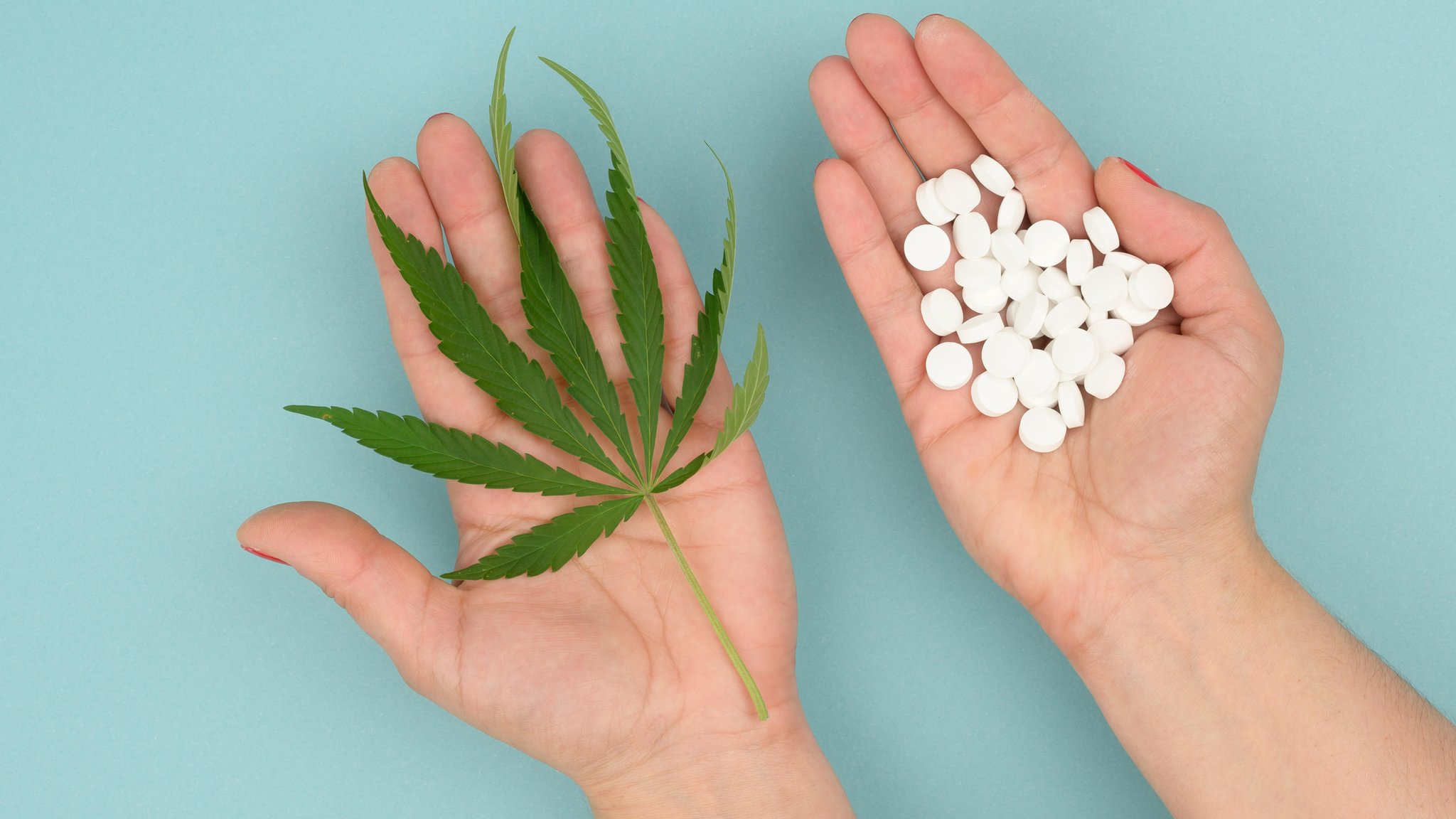 Eine Hand mit grünem Cannabisblatt und einer Handvoll weißer runder Pillen auf blauem Hintergrund.