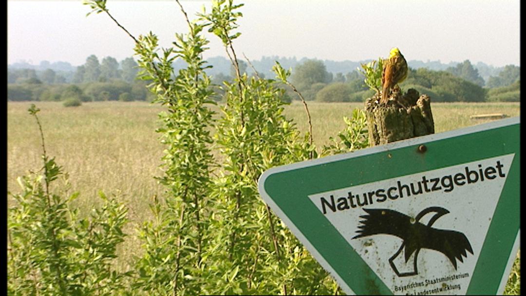 Projekte im Donaumoos: Moorboden für die Landwirtschaft | BR24