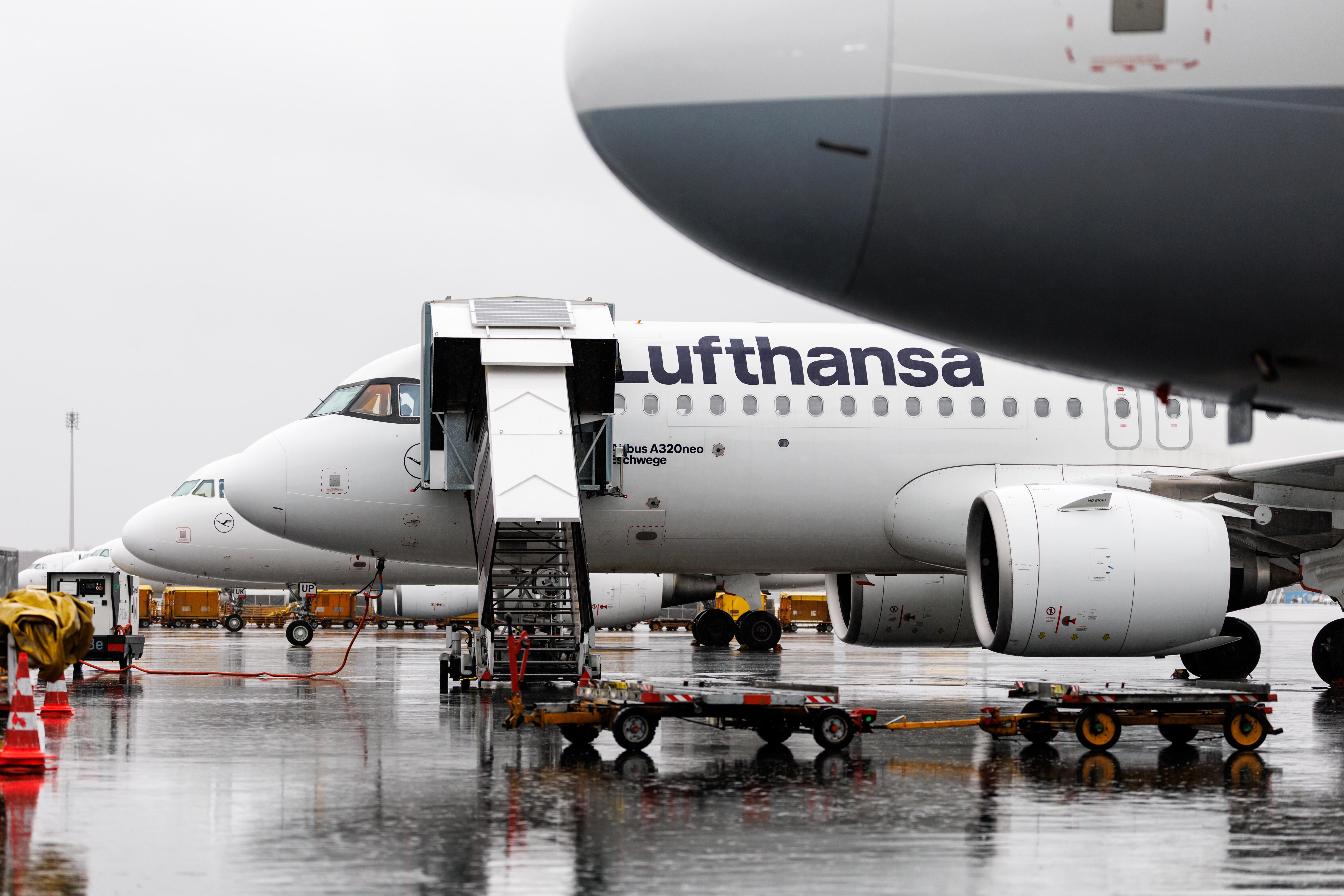 Lufthansa-Flugzeuge in München | Bild:picture alliance/dpa | Matthias Balk
