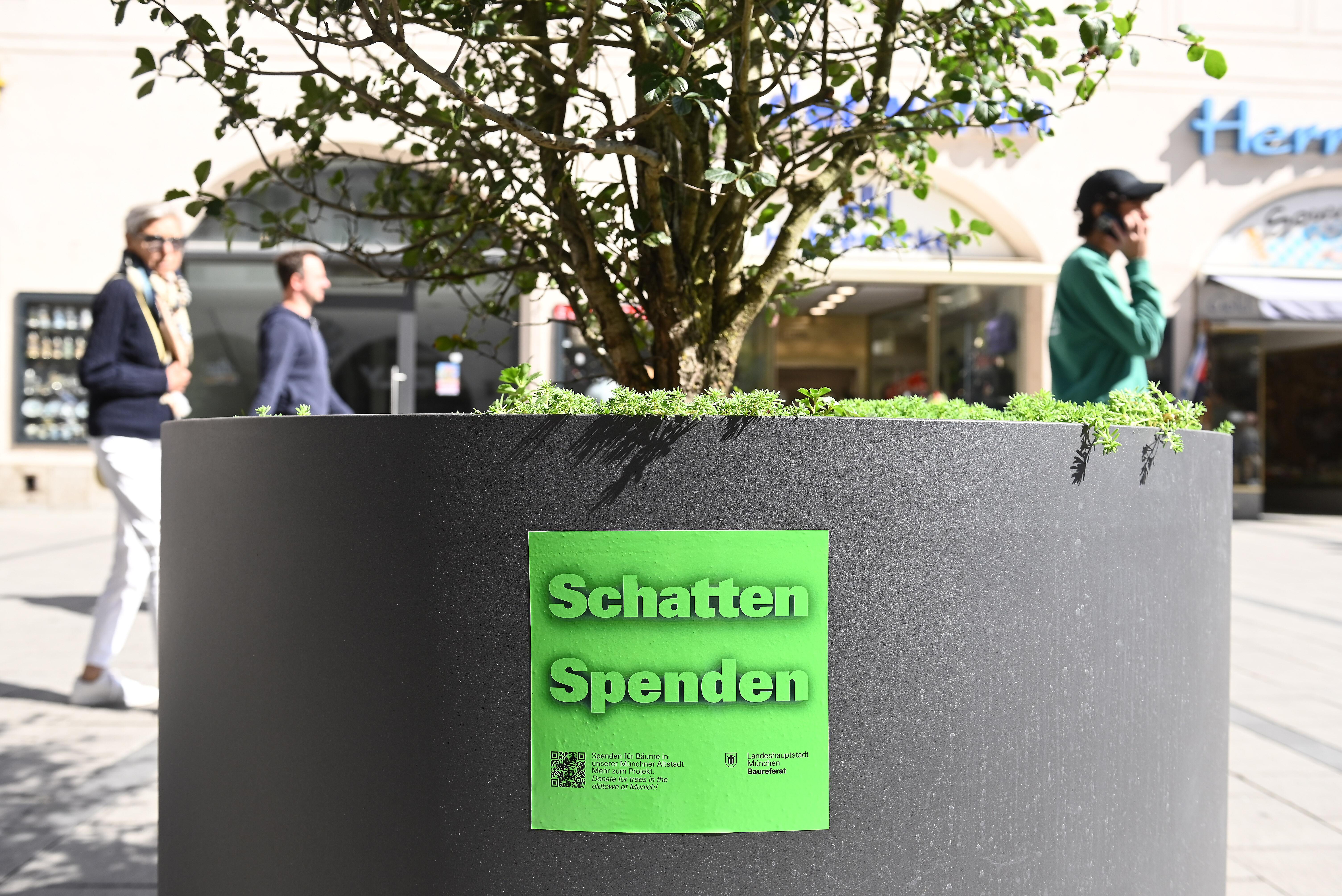 Ein Pflanzgefäß mit einem Großstrauch und einem Aufkleber der Aktion "Schatten spenden". 