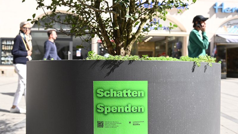 Ein Pflanzgefäß mit einem Großstrauch und einem Aufkleber der Aktion "Schatten spenden". | Bild: picture alliance / SZ Photo | Robert Haas Ein Pflanzgefäß mit einem Großstrauch und einem Aufkleber der Aktion "Schatten spenden".