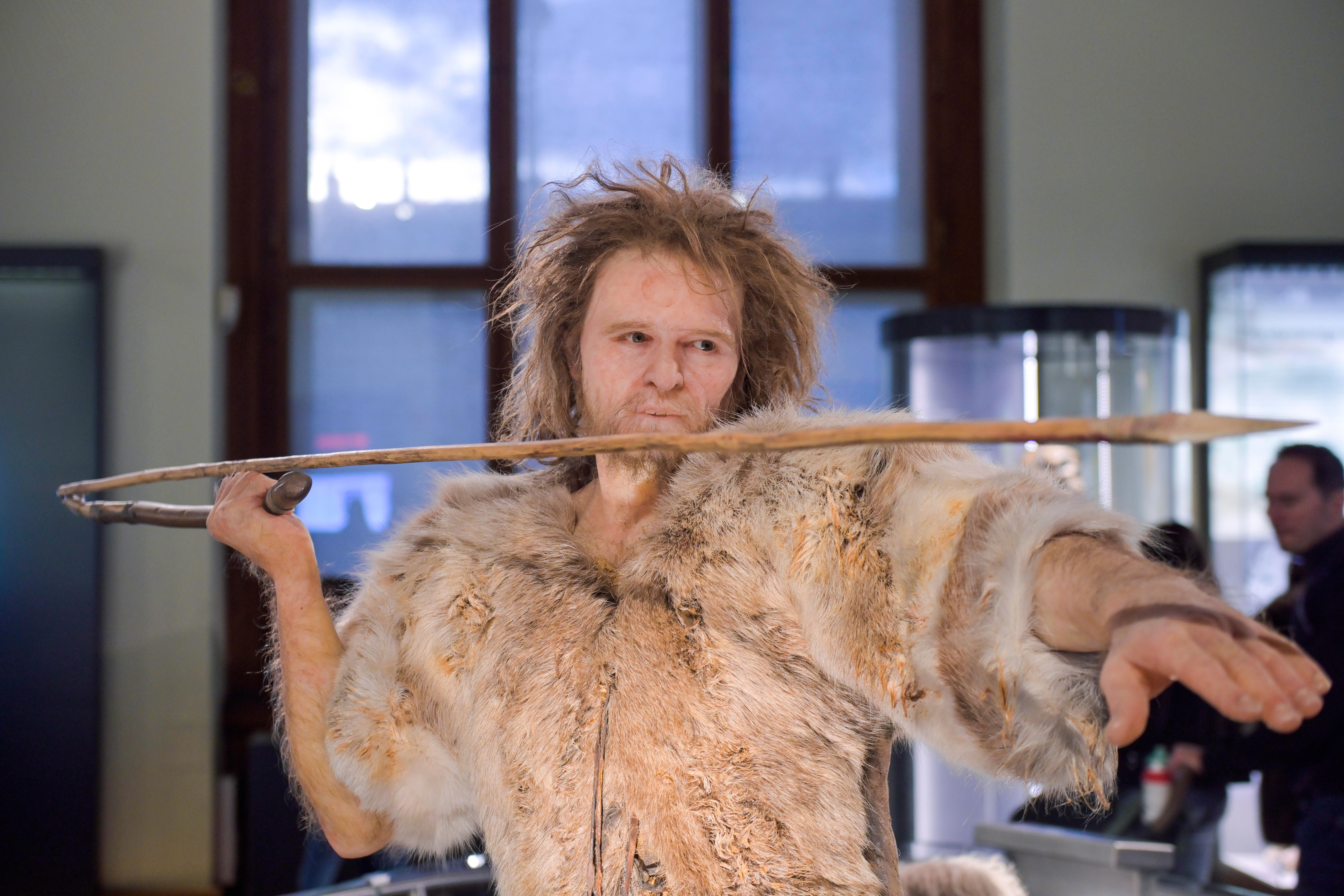 Genetischer "Flaschenhals": Erbgutanalysen deuten auf Verlust von genetischer Vielfalt als eine Ursache für das Aussterben der Neandertaler hin. Das Foto zeigt eine Neandertaler-Nachbildung.