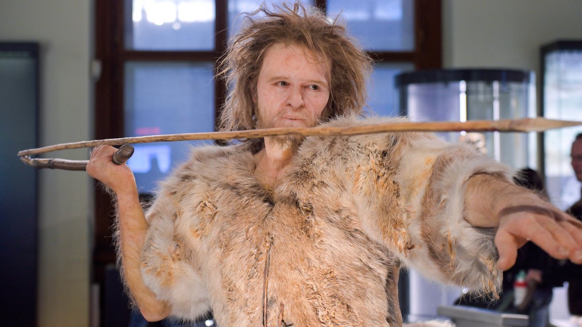 Genetischer "Flaschenhals": Erbgutanalysen deuten auf Verlust von genetischer Vielfalt als eine Ursache für das Aussterben der Neandertaler hin. Das Foto zeigt eine Neandertaler-Nachbildung.