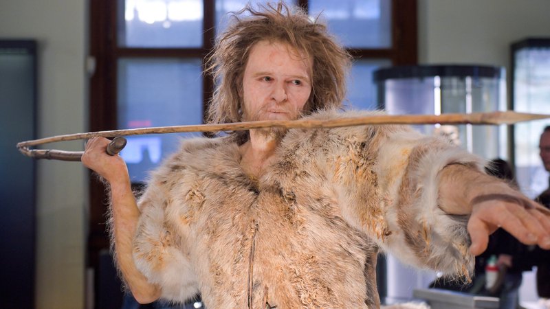 Genetischer "Flaschenhals": Erbgutanalysen deuten auf Verlust von genetischer Vielfalt als eine Ursache für das Aussterben der Neandertaler hin. Das Foto zeigt eine Neandertaler-Nachbildung. | Bild: picture alliance / Joko / Joko Genetischer "Flaschenhals": Erbgutanalysen deuten auf Verlust von genetischer Vielfalt als eine Ursache für das Aussterben der Neandertaler hin. Das Foto zeigt eine Neandertaler-Nachbildung.