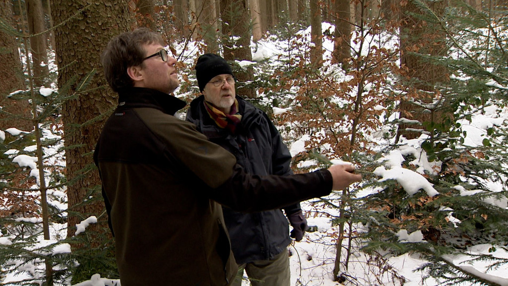 Martin Brennauer in seinem Wald mit Förster Ludwig Pertl