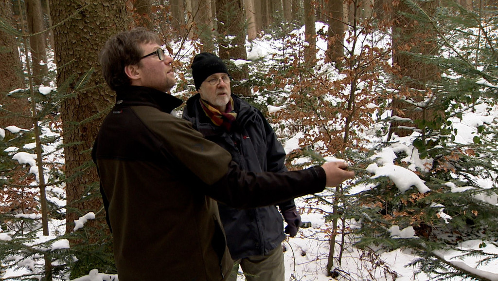 Martin Brennauer in seinem Wald mit Förster Ludwig Pertl | Bild: BR / Michael Frick Martin Brennauer in seinem Wald mit Förster Ludwig Pertl