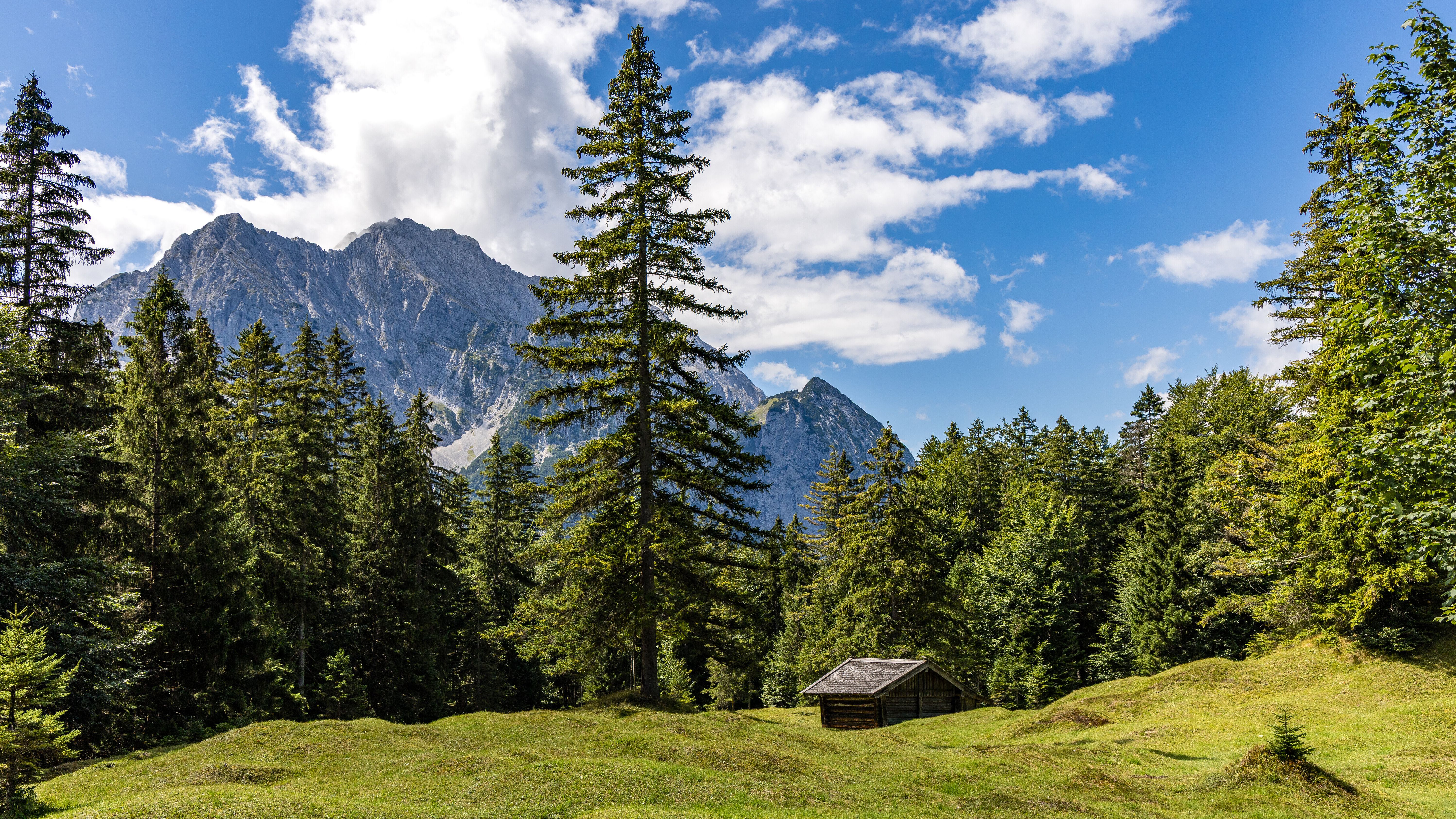 Sonne statt Regen: Jacke kann bei Ausflügen zu Hause bleiben