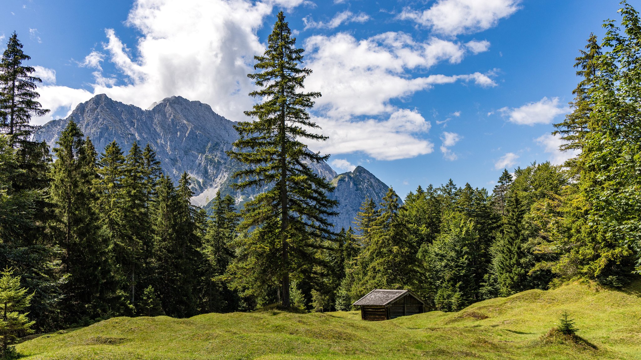 Sonne statt Regen: Jacke kann bei Ausflügen zu Hause bleiben