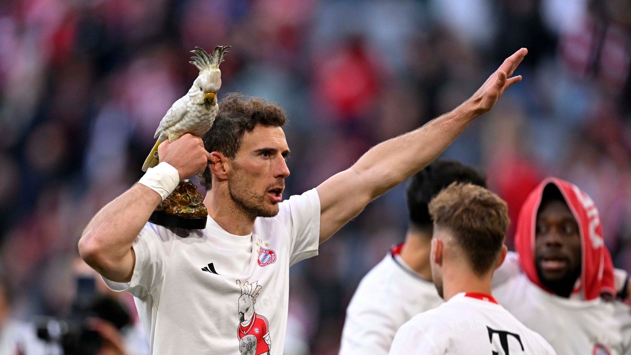Kult-Kakadu als Glücksbringer: FC Bayern mit Spezial-Trikot