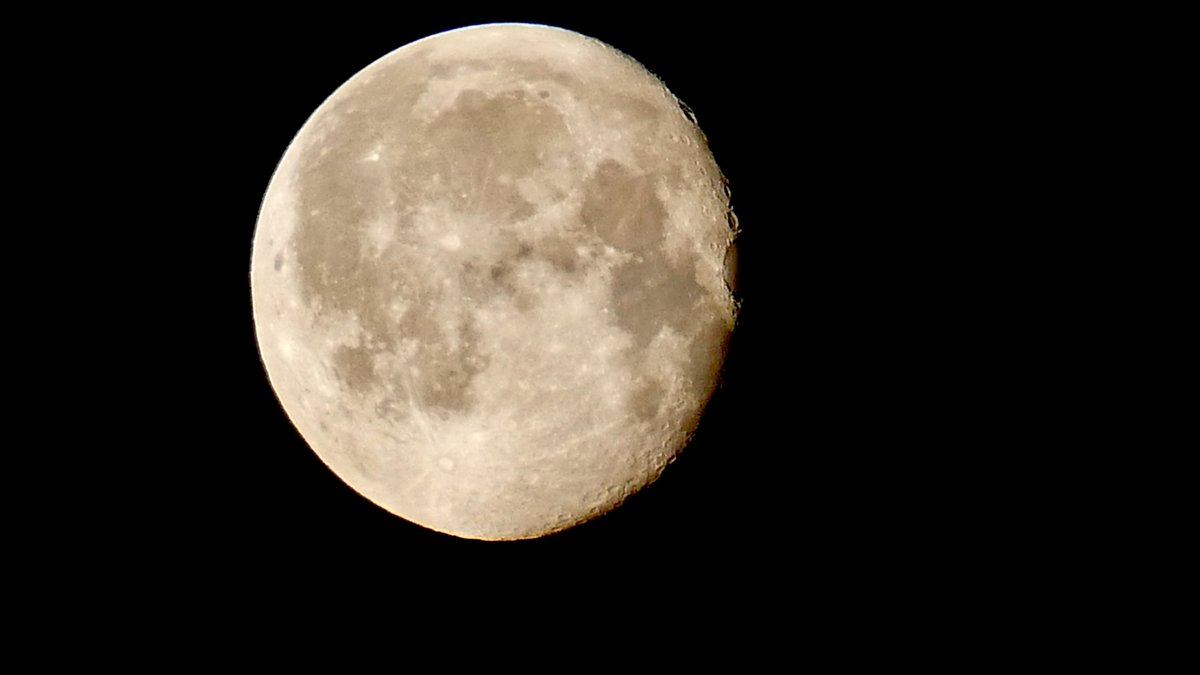 Artemis-Programm der NASA: Was bringt eine Mondlandung?