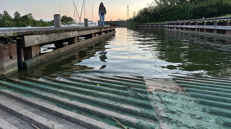 Im Juli 2024 war am Altmühlsee das Baden wegen Blaualgen verboten. Die Belastung war so hoch wie noch nie. Jetzt wurde über Lösungen beraten. | Bild: BR / Ulrike Lefherz Im Juli 2024 war am Altmühlsee das Baden wegen Blaualgen verboten. Die Belastung war so hoch wie noch nie. Jetzt wurde über Lösungen beraten.