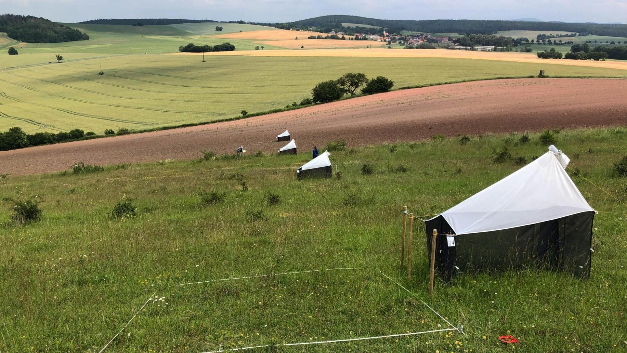 Einige Malaise-Fallen im thüringischen Hofberg stehen auf Wiesen, im Hintergrund sind Äcker zu sehen.