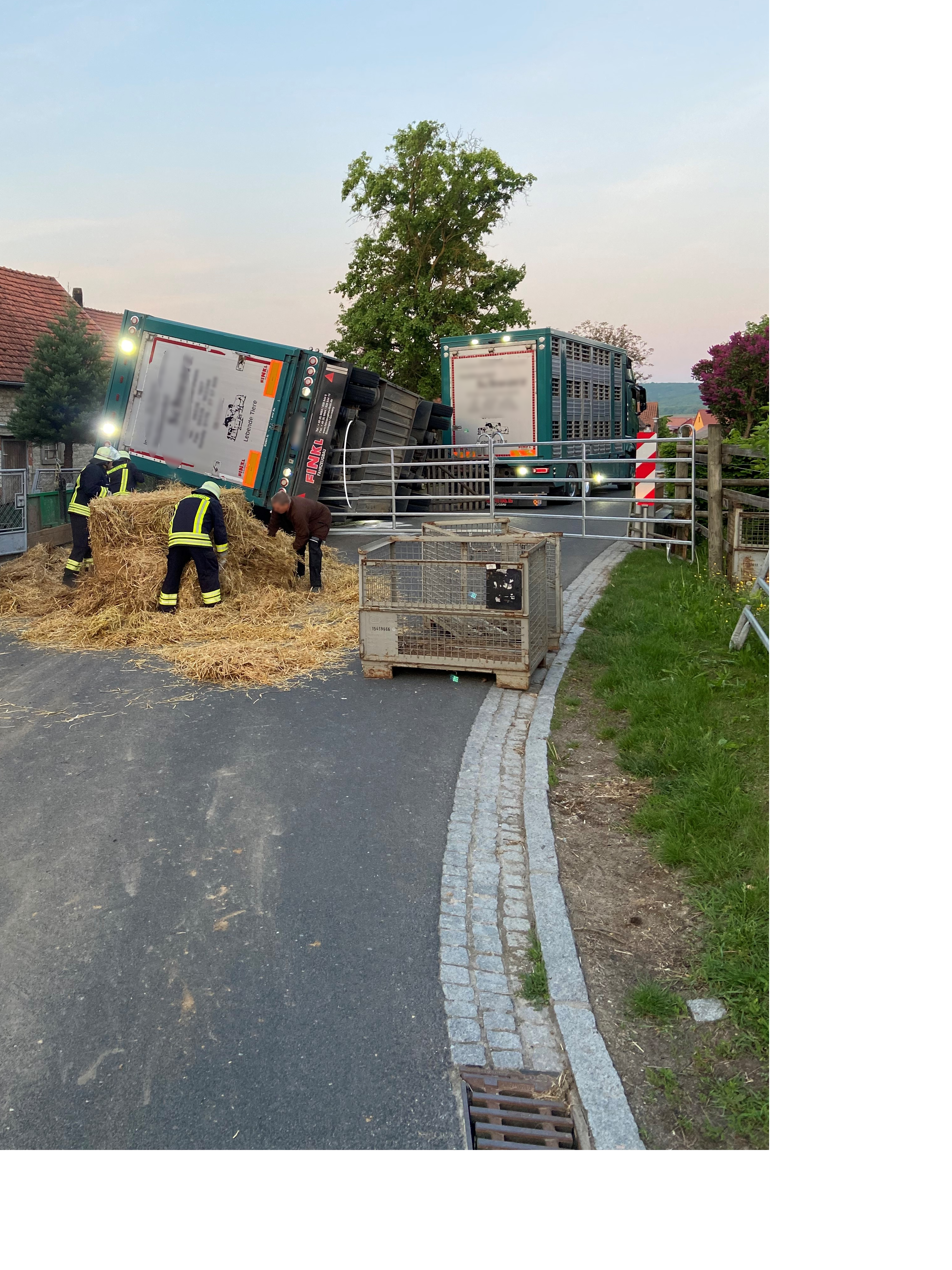 14 Schweine Sterben Bei Tiertransporter-Unfall In Iphofen | BR24