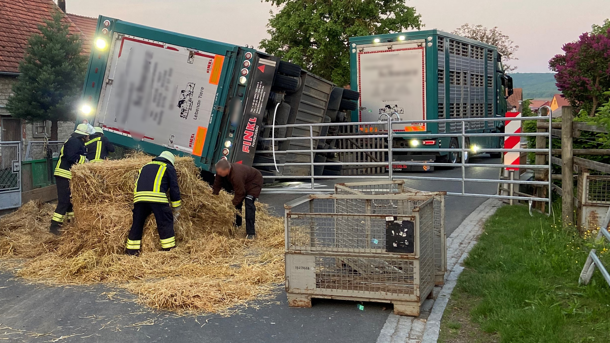 14 Schweine sterben bei Tiertransporter-Unfall in Iphofen