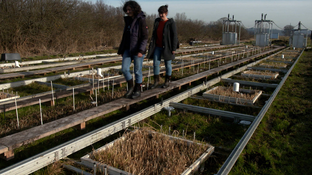 Klimawandel: Moorforschungszentrum in Weihenstephan eröffnet | Bild: BR Klimawandel: Moorforschungszentrum in Weihenstephan eröffnet