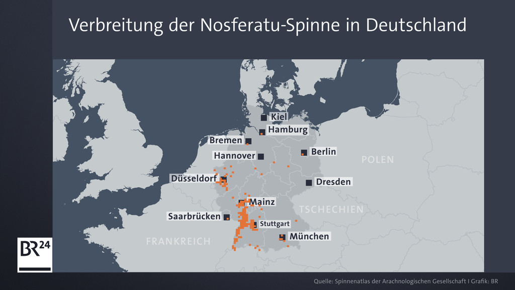 Verbreitung der "Nosferatu-Spinne" in Deutschland