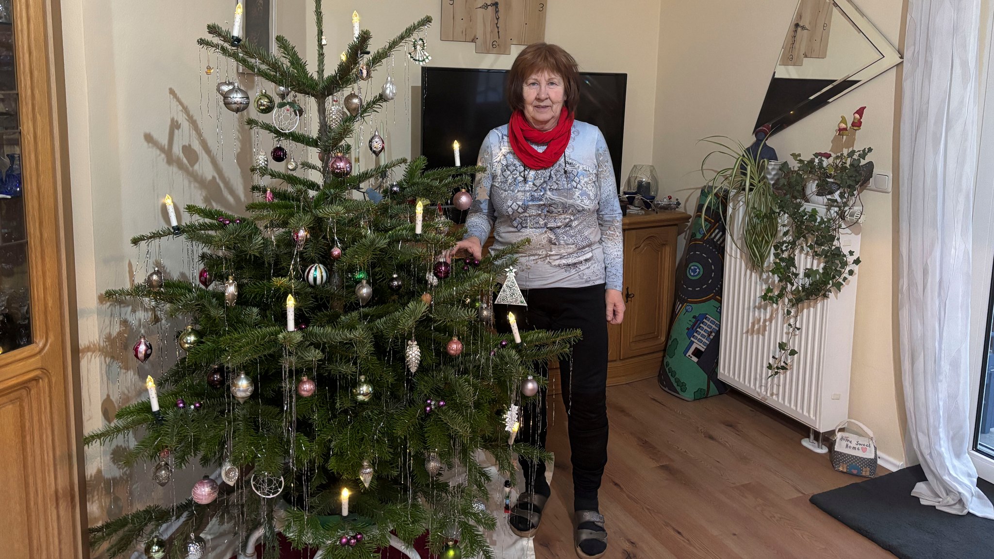 Geschmückter Tannenbaum im renovierten Wohnzimmer