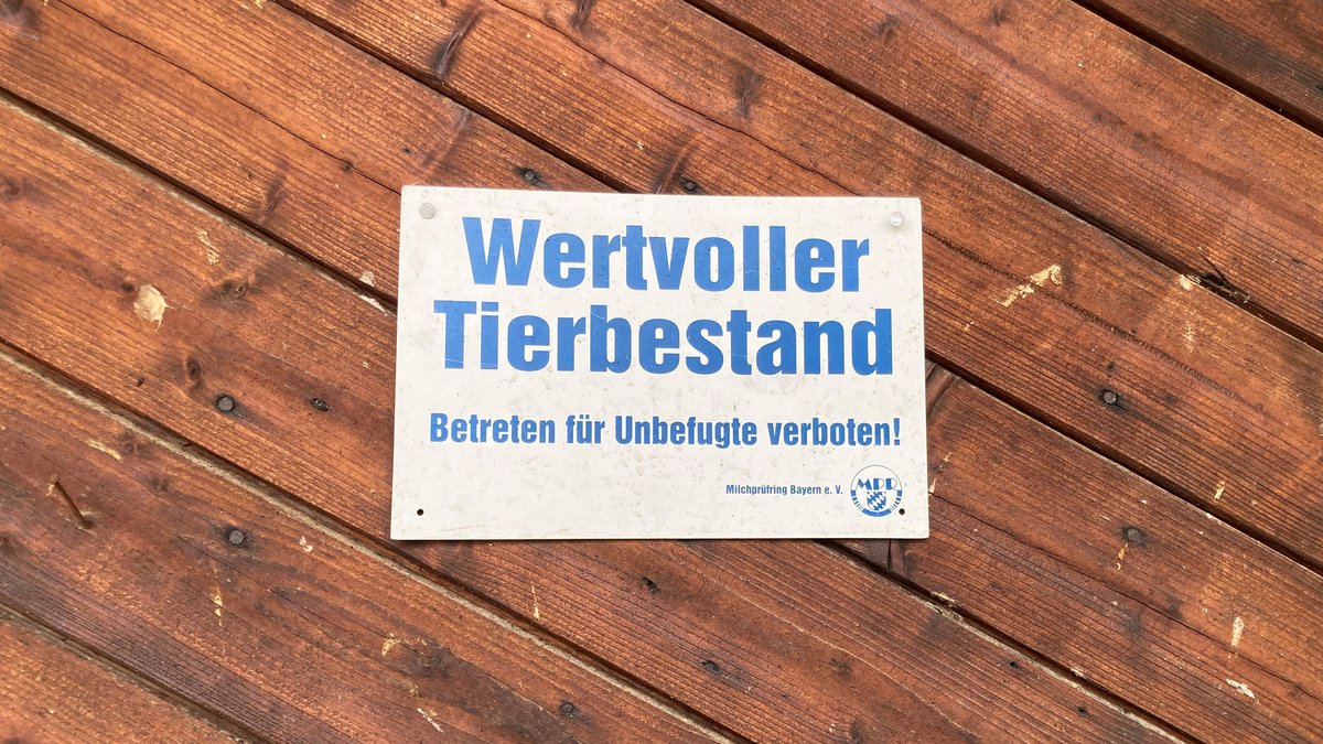 Maul- und Klauenseuche: Offene Stalltüren sind gefährlich