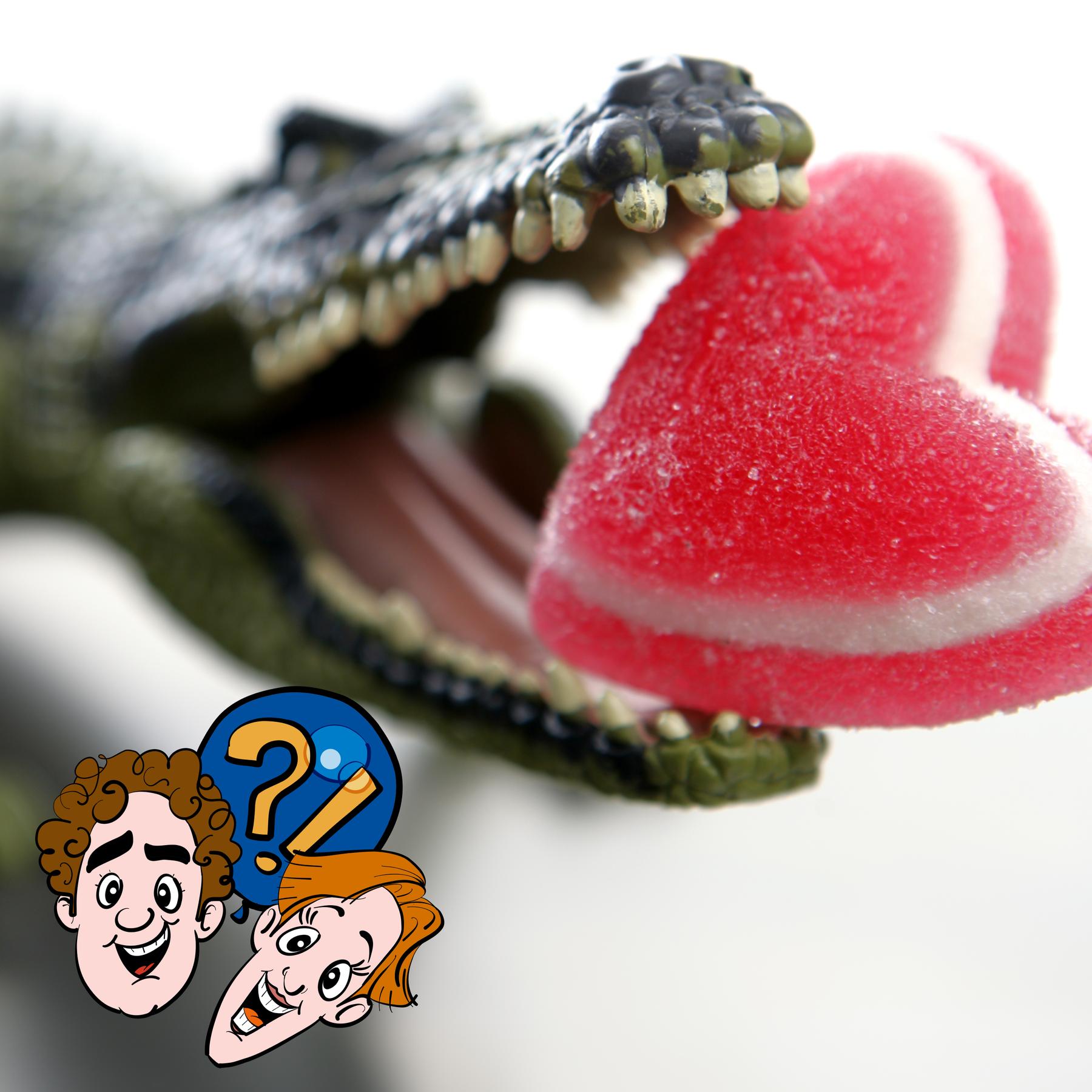 Müssen auch mal Krokodile zum Zahnarzt?