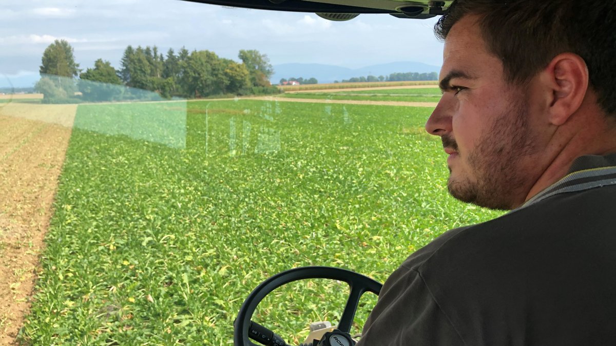 Landwirt Matthias Bayerl sitzt am Steuer seiner Erntemaschine. 