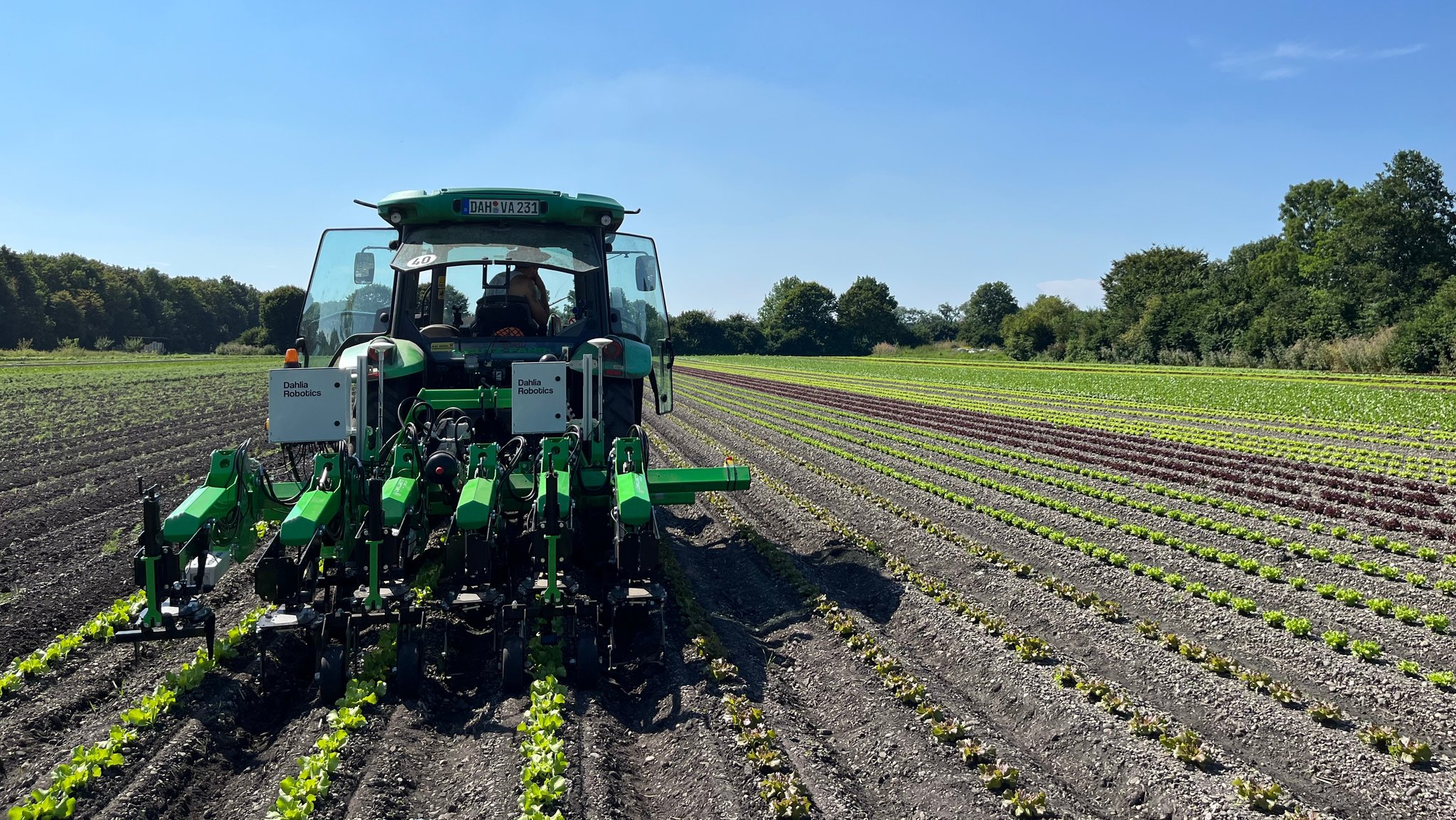 KI auf dem Acker – neue Wege beim Kampf gegen das Unkraut