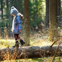 Wildnis als Kulturgut - Der Trend des Unberührten | Bild: stock.adobe.com/MNStudio