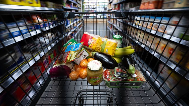 Einkaufswagen gefüllt mit unterschiedlichen Lebensmitteln. | Bild:dpa-Bildfunk/Sven Hoppe